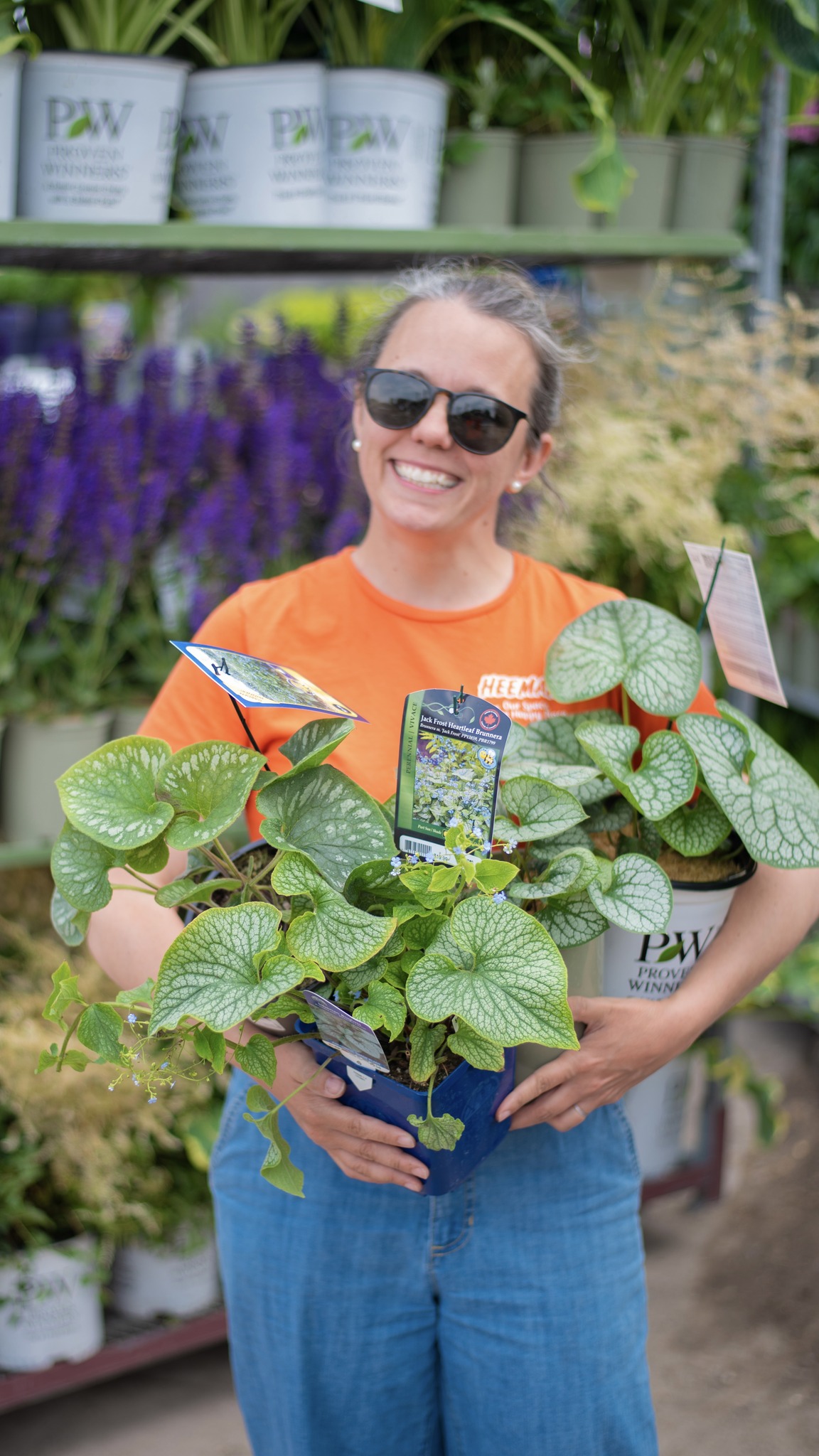With its heart-shaped, silvery foliage and petite, springtime