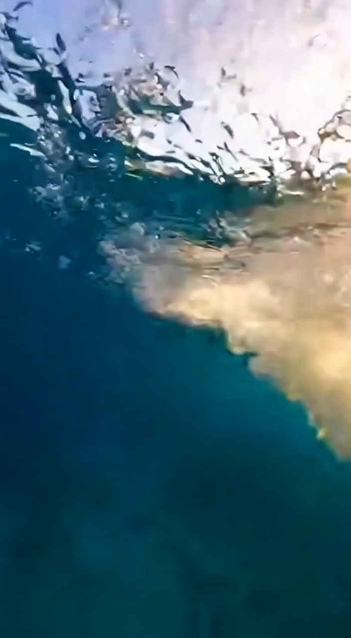 A 10-second ultra-realistic cinematic underwater video of a ...