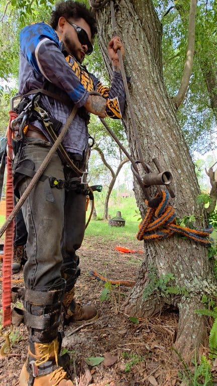 🎯 Tree Pro Tip: How to Use a Port-a-Wrap the Right Way 🪢🌳 This ain’t ...