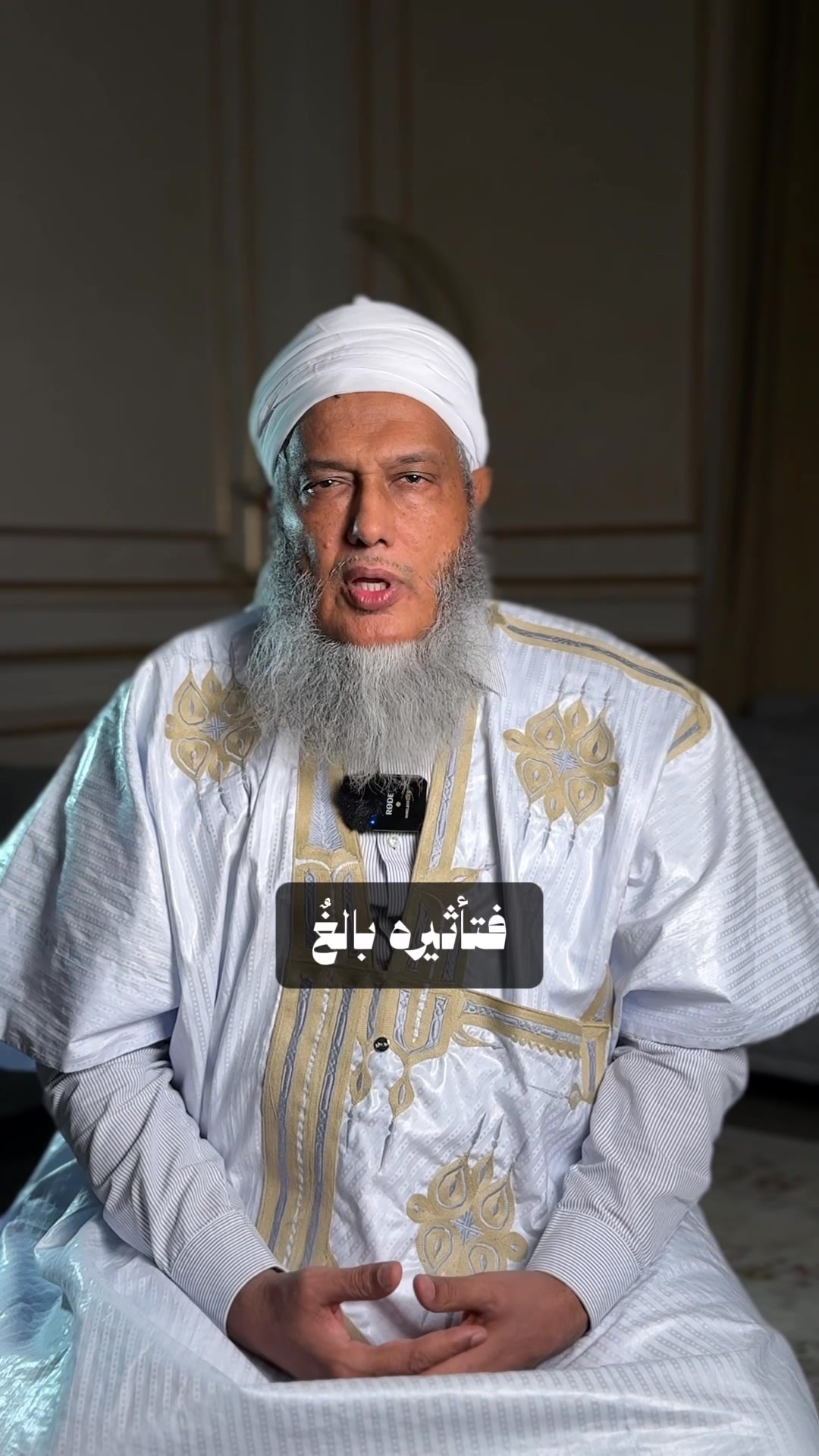 محمد الحسن الددو الشنقيطي