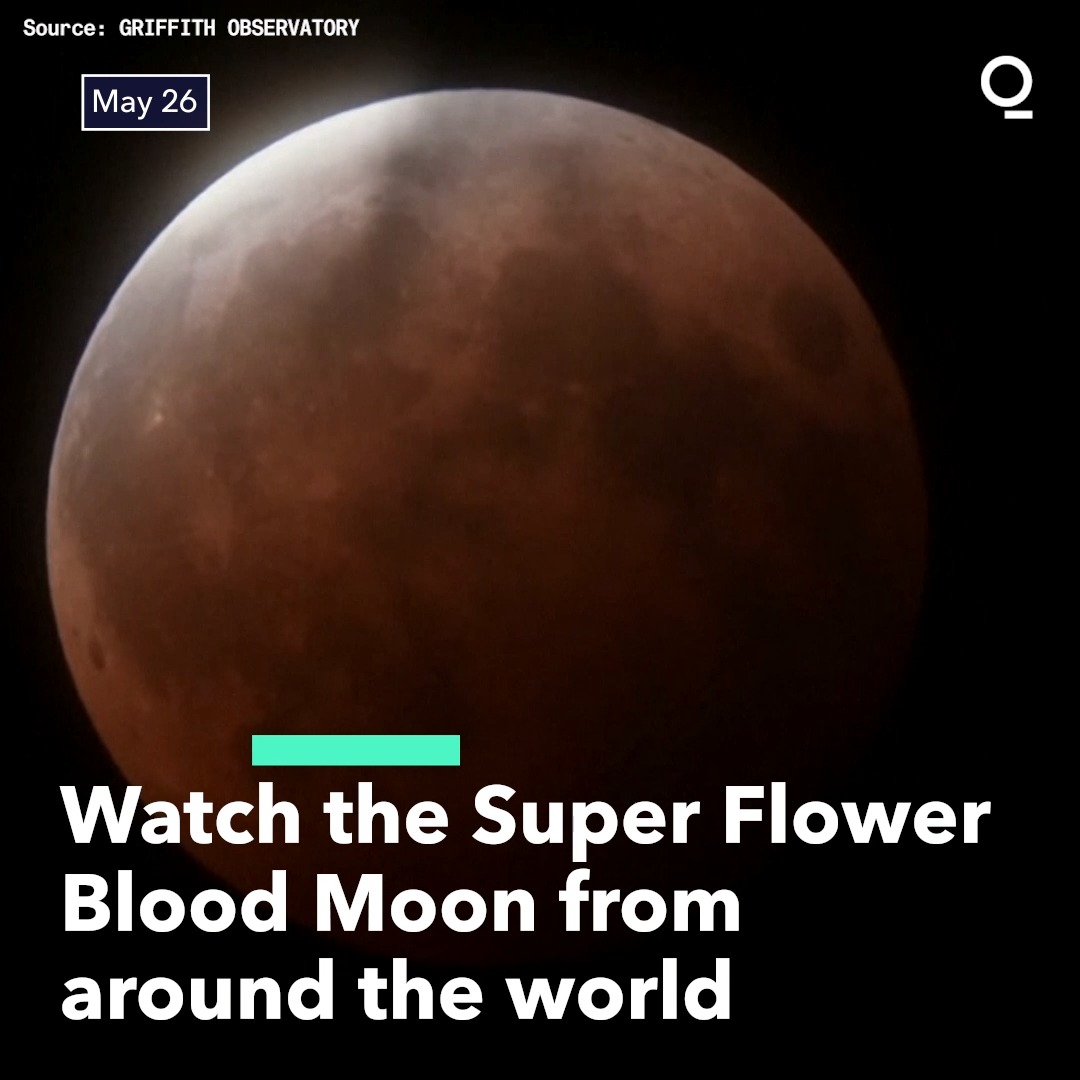 Watch the Super Flower Blood Moon from Around the World | supermoon ...