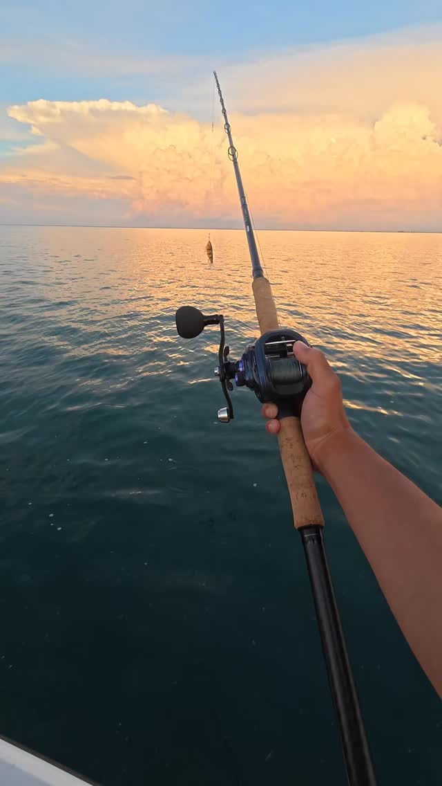 electric reels for deep sea fishing Daiwa Seapower 1200 Reel 5'6 80-200LB Drop Rod Combo with Braid Bait Finesse System The Daiwa Dendoh Deep Master custom Striker fishing Size:8-20 pack