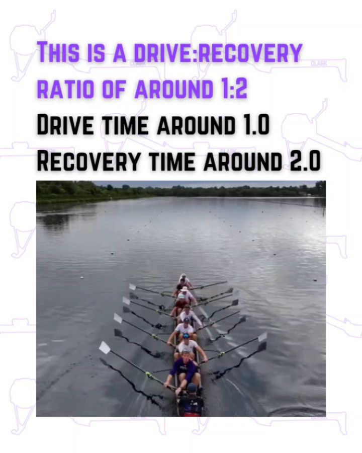 Clark Performance Rowing on Reels | Facebook