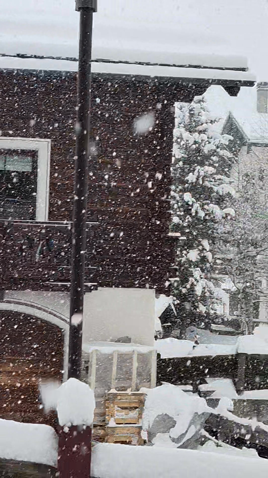 Buongiorno in diretta da Livigno, guardate che spettacolo! Un altro ...
