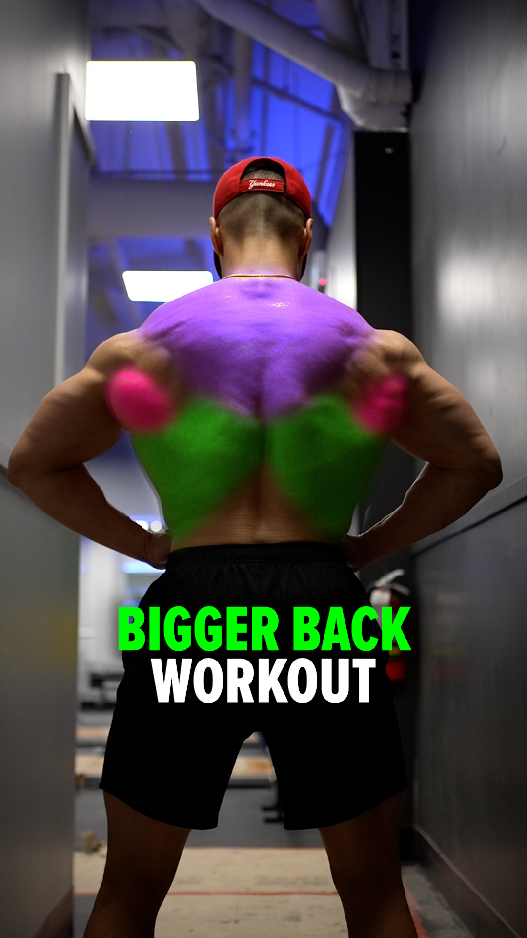 BIGGER BACK WORKOUT (DO THESE!) 1️⃣ Single-Arm Dumbbell Row Elbows ...