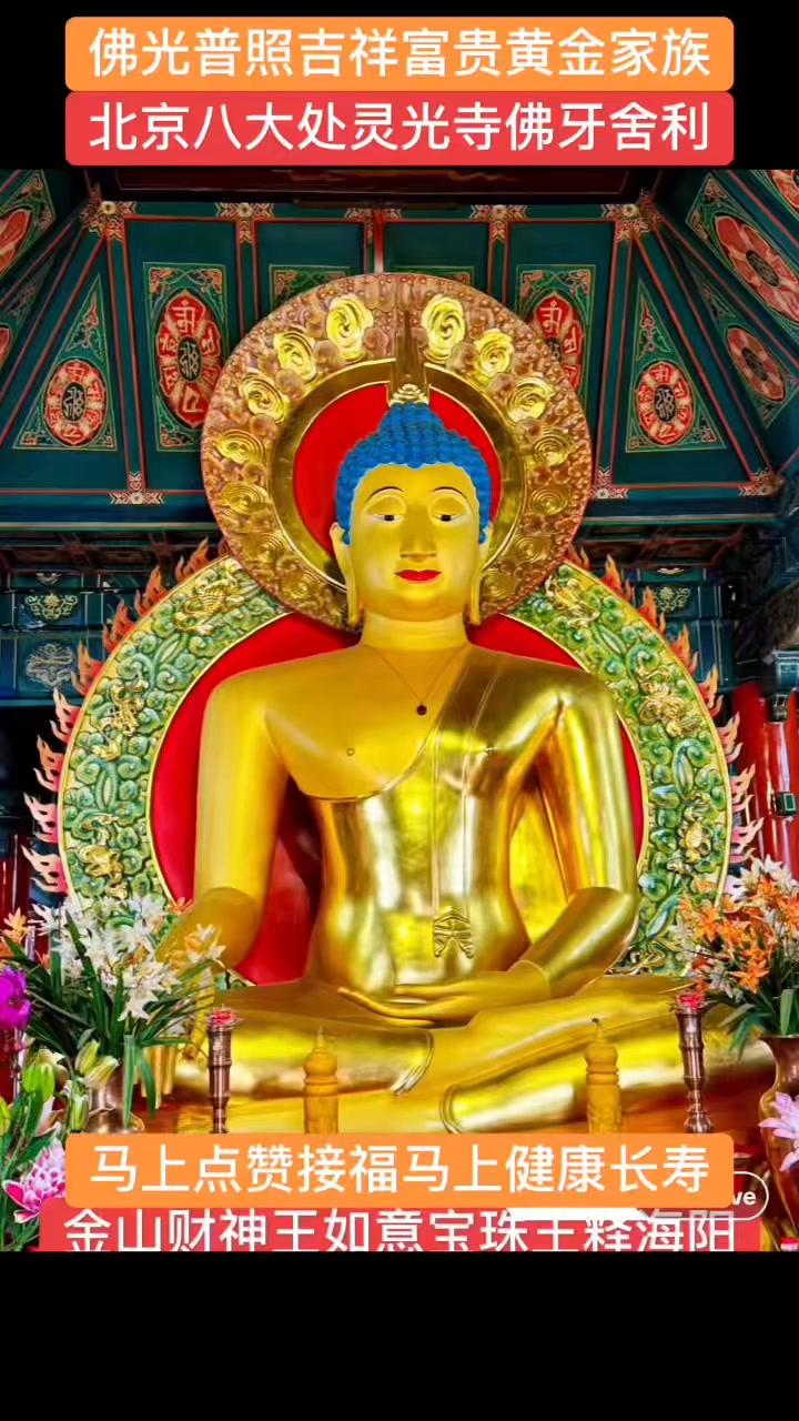 金山财神如意宝珠王释海阳大师朝圣供佛北京八大处灵光寺佛牙舍利！见 