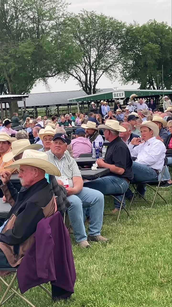 World Livestock Auctioneer Championship Position Drawing: | Manhattan ...