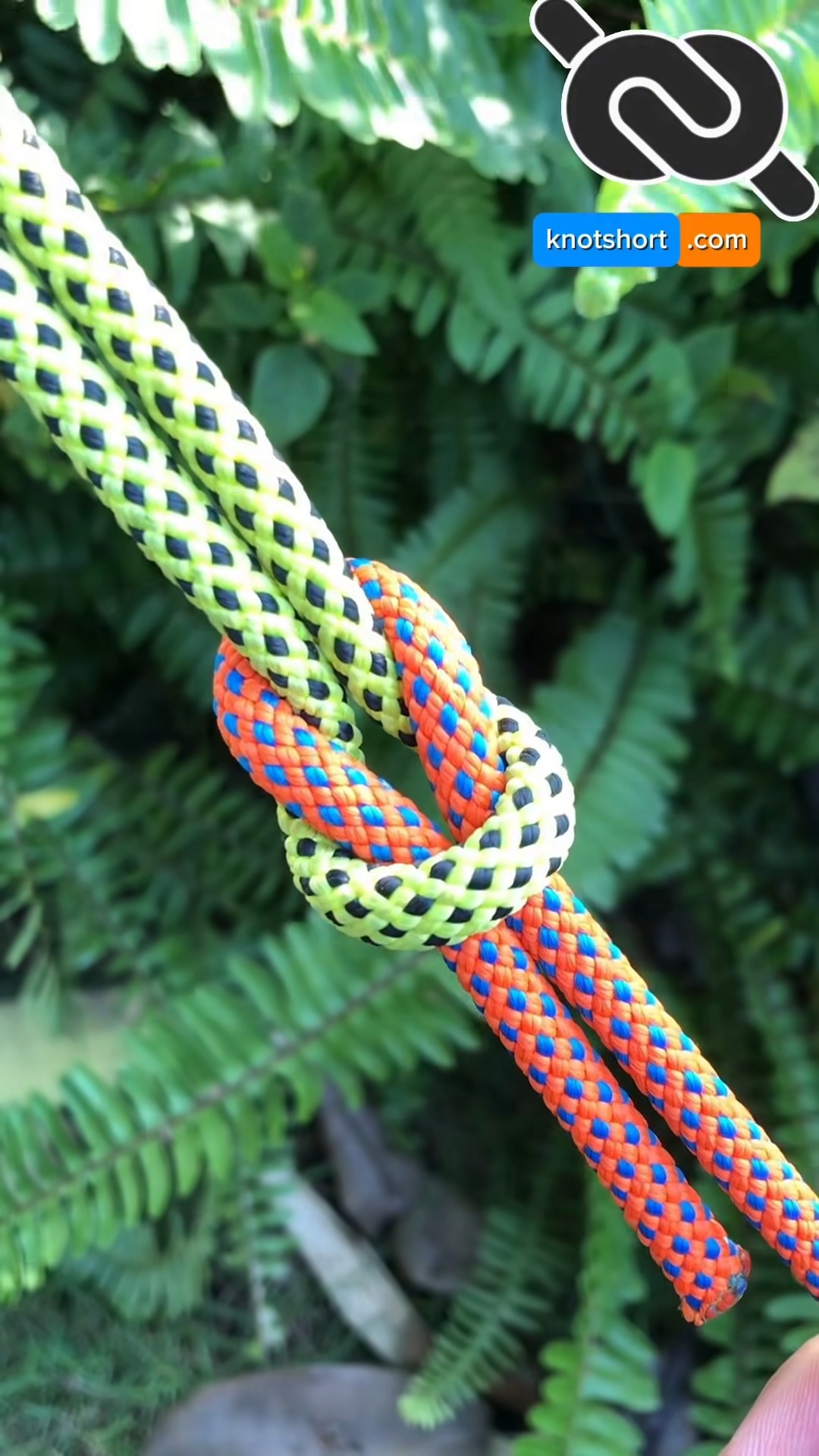 Fast and Easy Way to Securely Join Two Ropes 🔗 #knotshort | KNOT SHORT ...