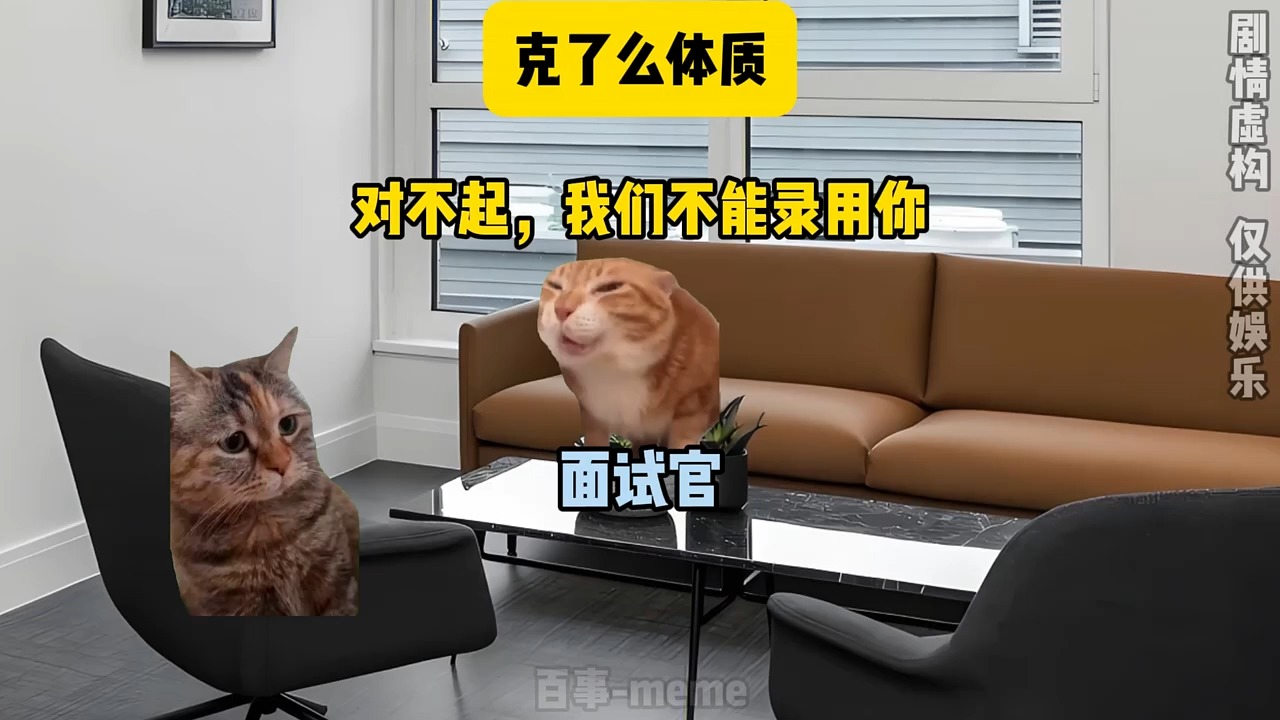 《您有一笔克了么订单，请及时处理！》 . . . . #猫meme #00后 #真实还原 #搞笑 #猫meme小剧场 #万万没想到 #内容过于 ...