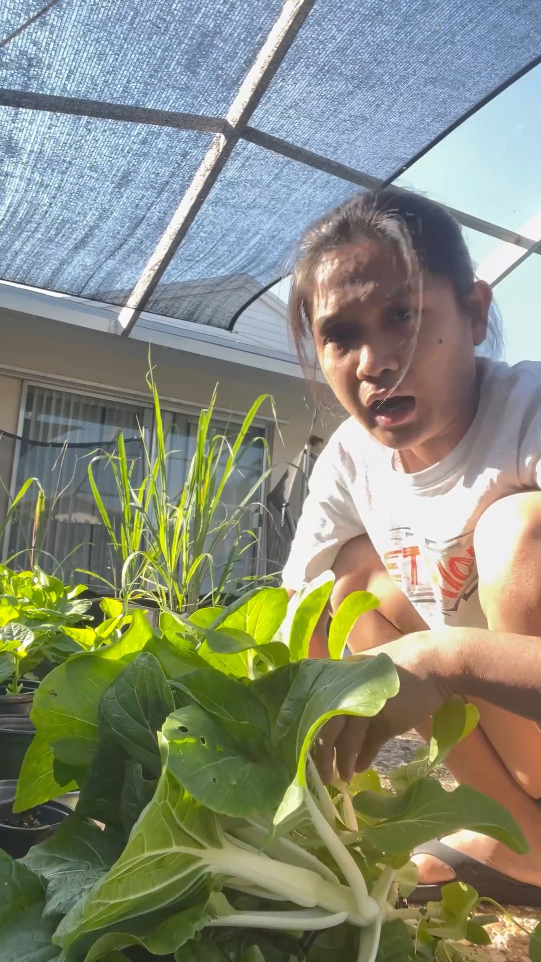 lugi si Inday roning pumapayat at tumataba ang ang gulay | Inday roning ...