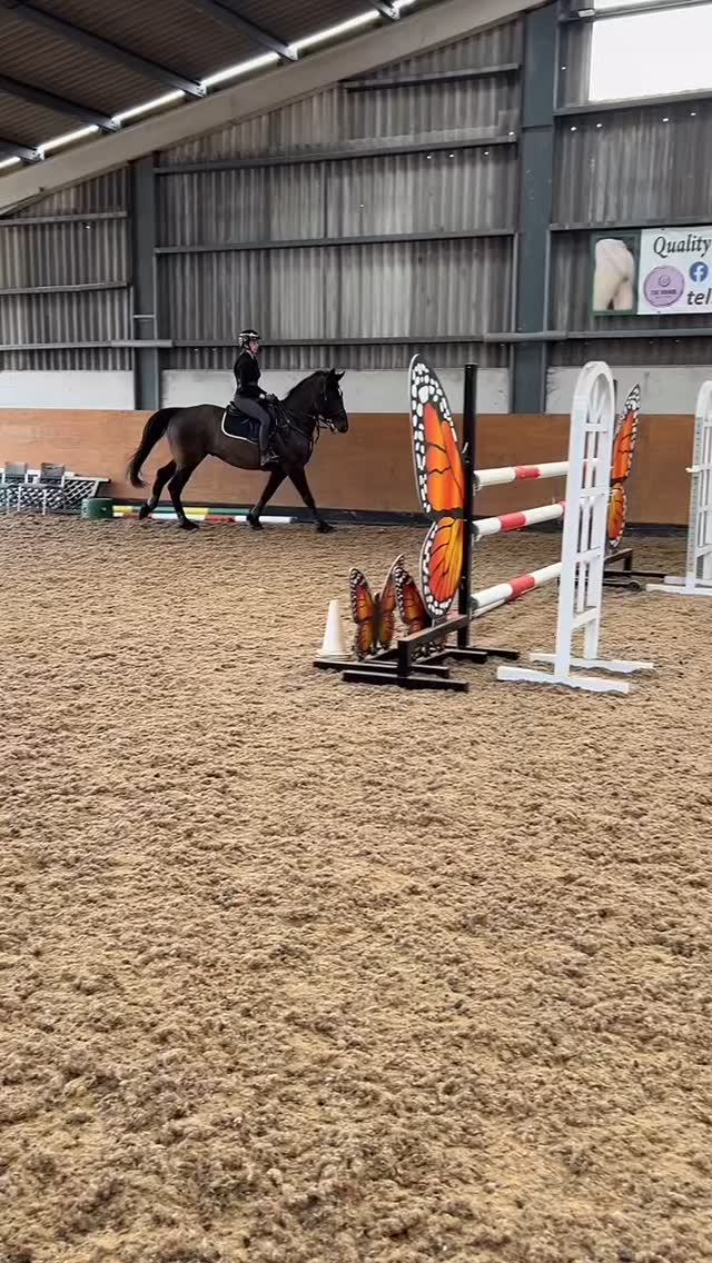 RokHorse Equestrian | Tyldesley