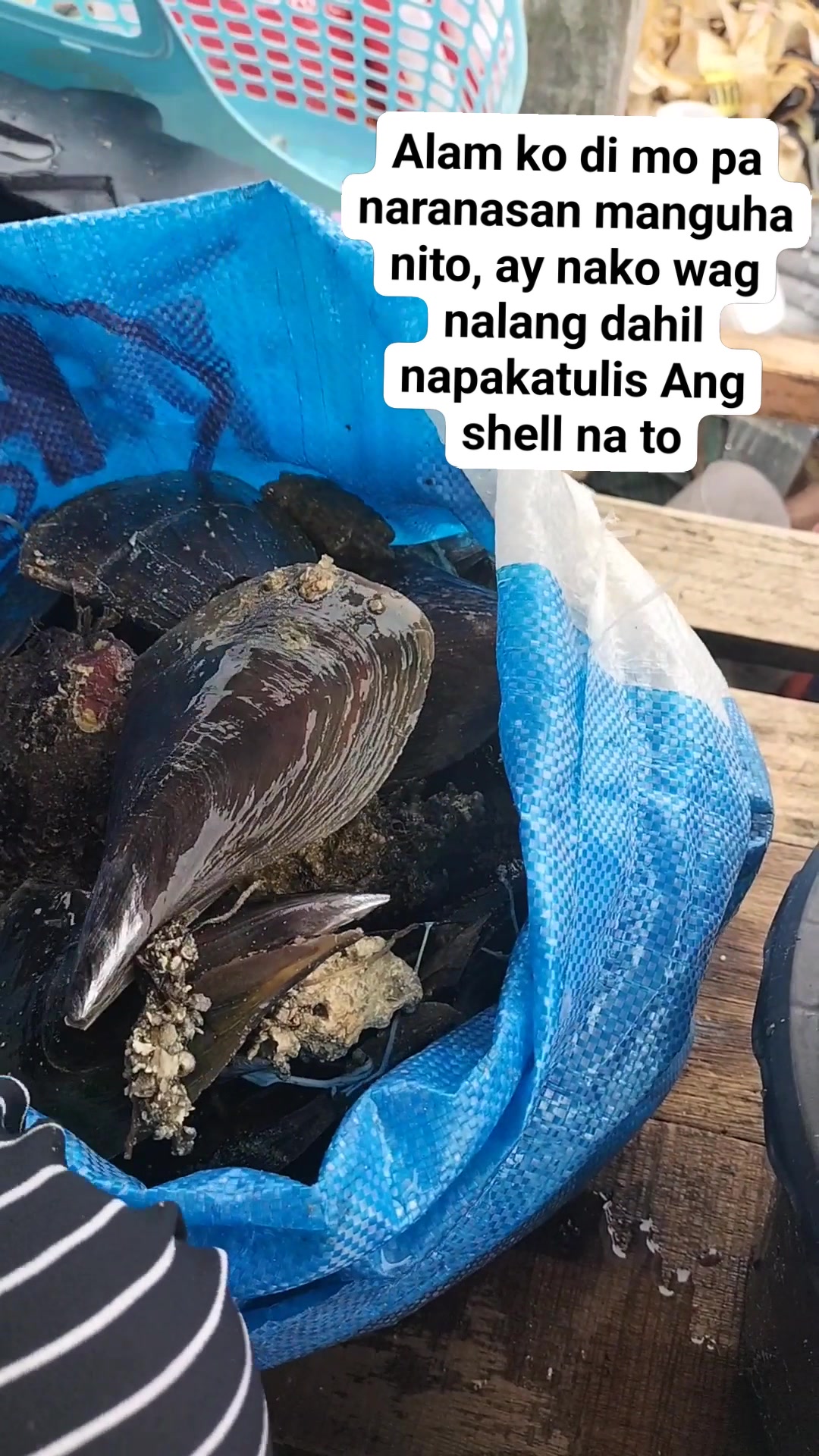 Wasay-wasay clam shell #seashorevibes #seaadventure #seafood #seaweeds ...