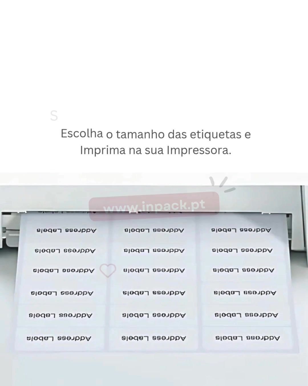 Inpack | Ponte de Lima