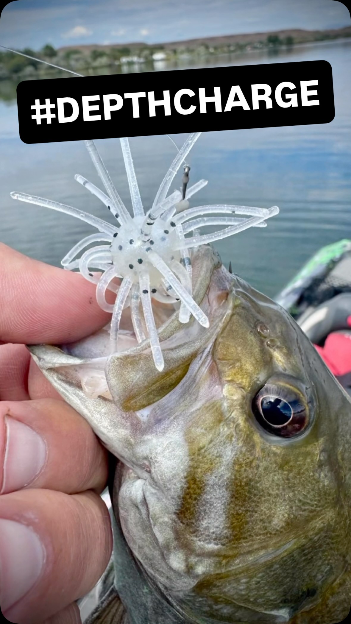 depth charge fishing lure L40 Quattro Jig this spinner rig holds live bait or soft bait securely through repeated passes Fun day fishing with the