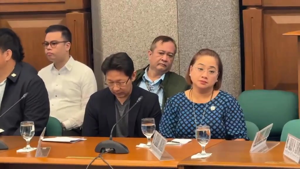 Present na sa Senate Blue Ribbon Committee hearing si Sara Discaya ...