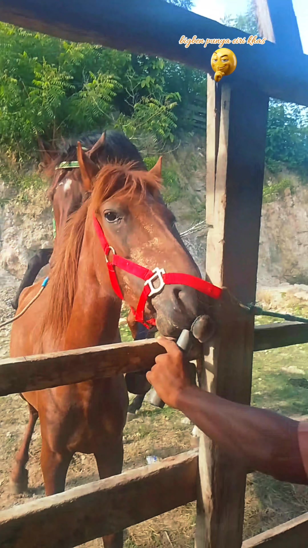 Kencang bigben😇 #Reels #horse #fyp | Dae Izall | Facebook