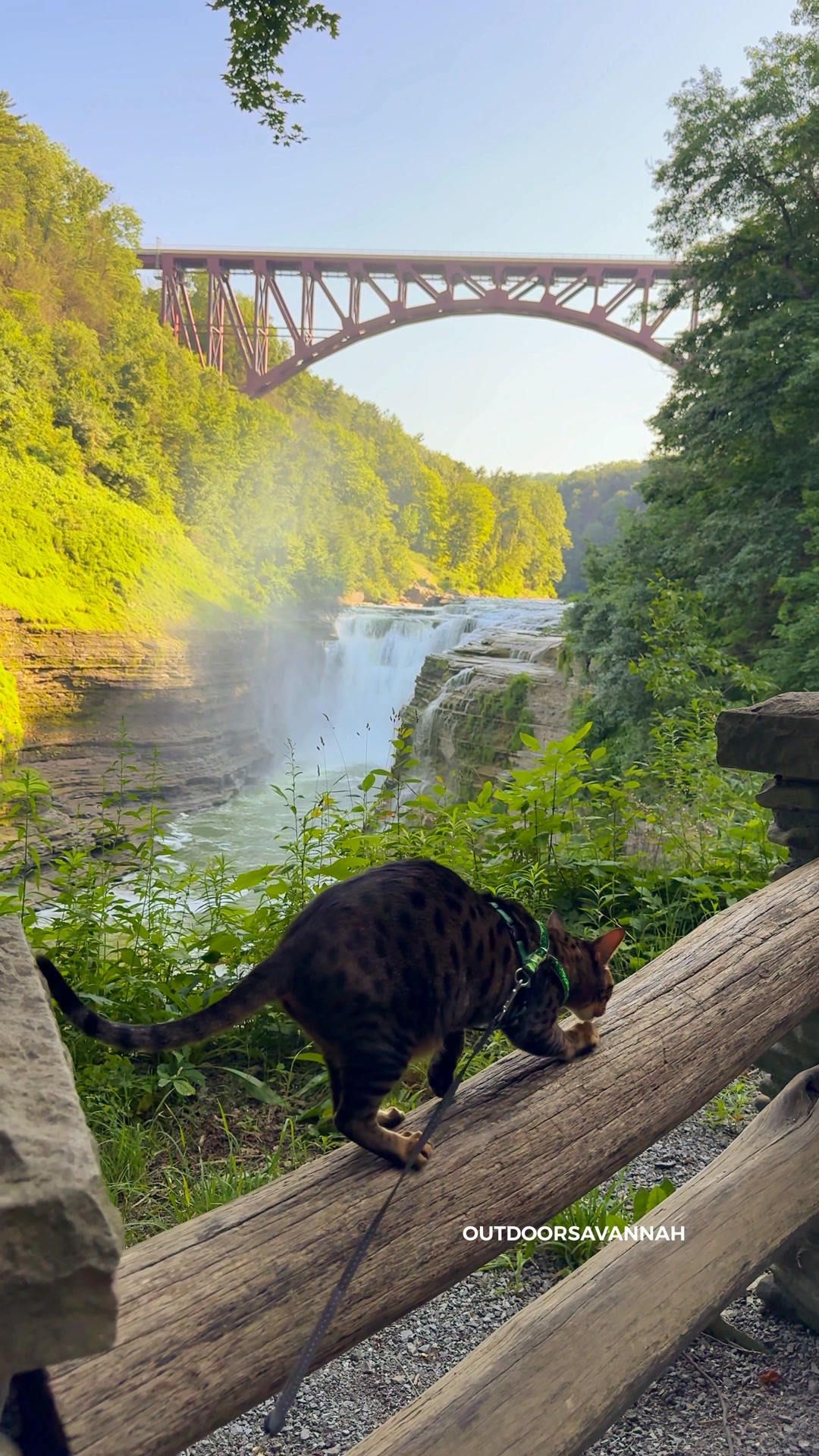 Scratches at Letchworth State Park in New York 07.02.2025 #rajaanddavid ...