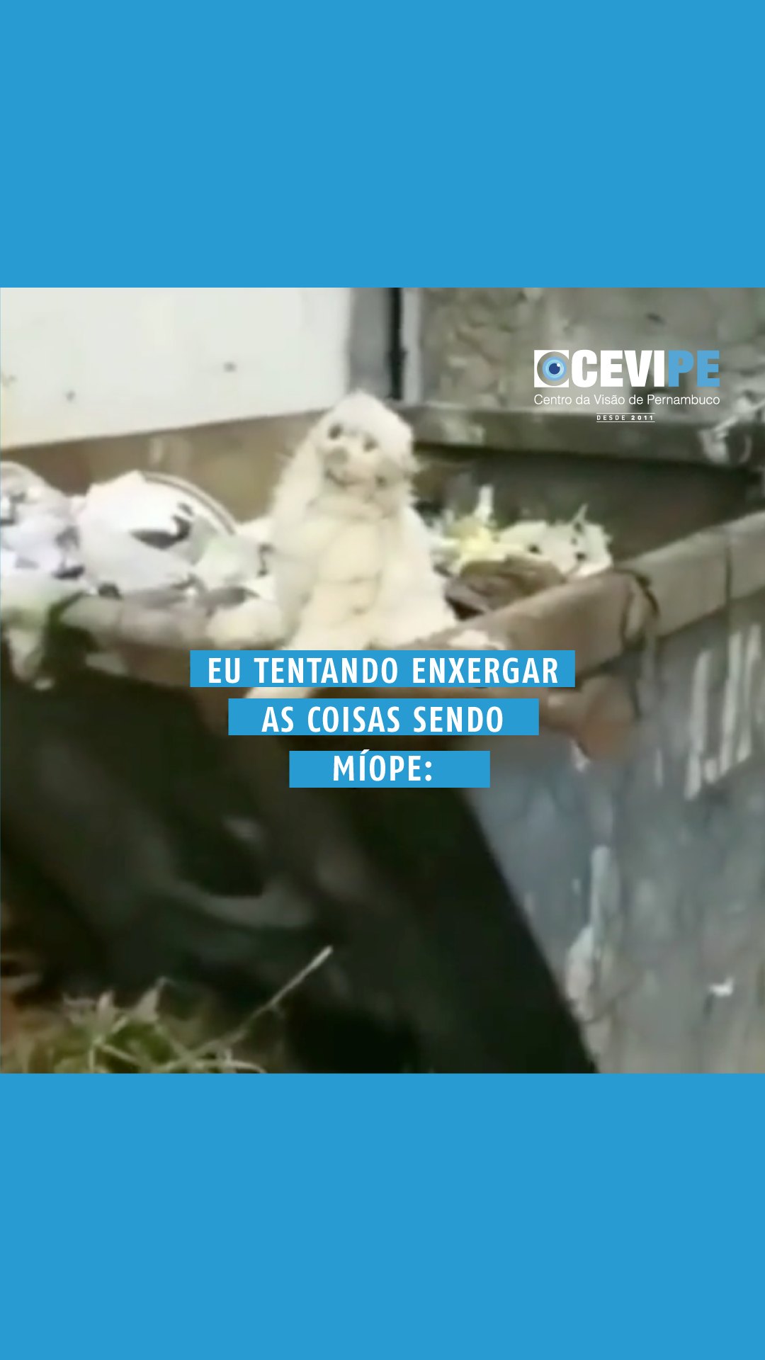 CEVIPE - Centro da Visão de Pernambuco | Paulista PE