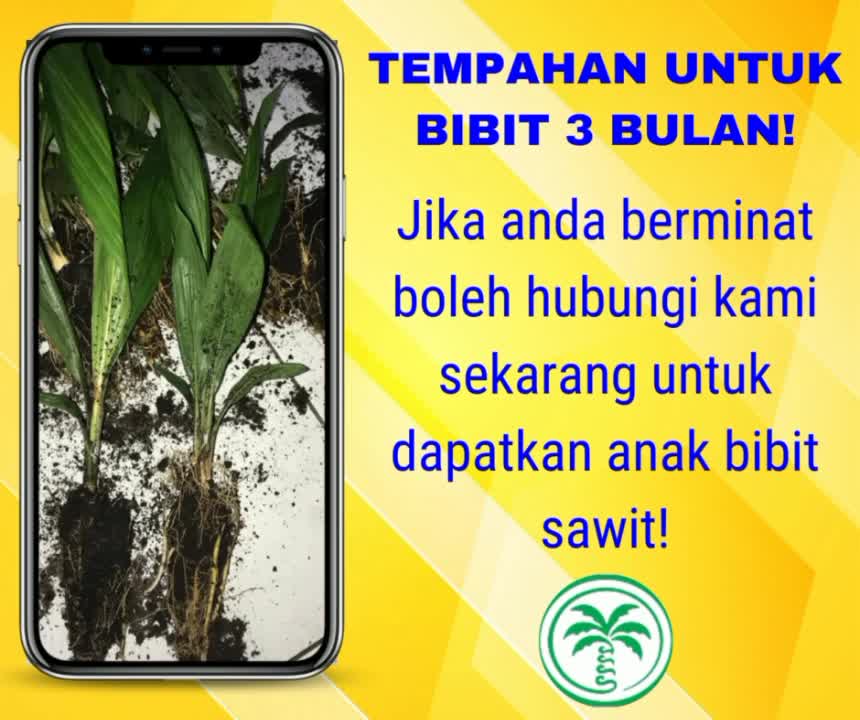 Green Project Nursery | Lahad Datu
