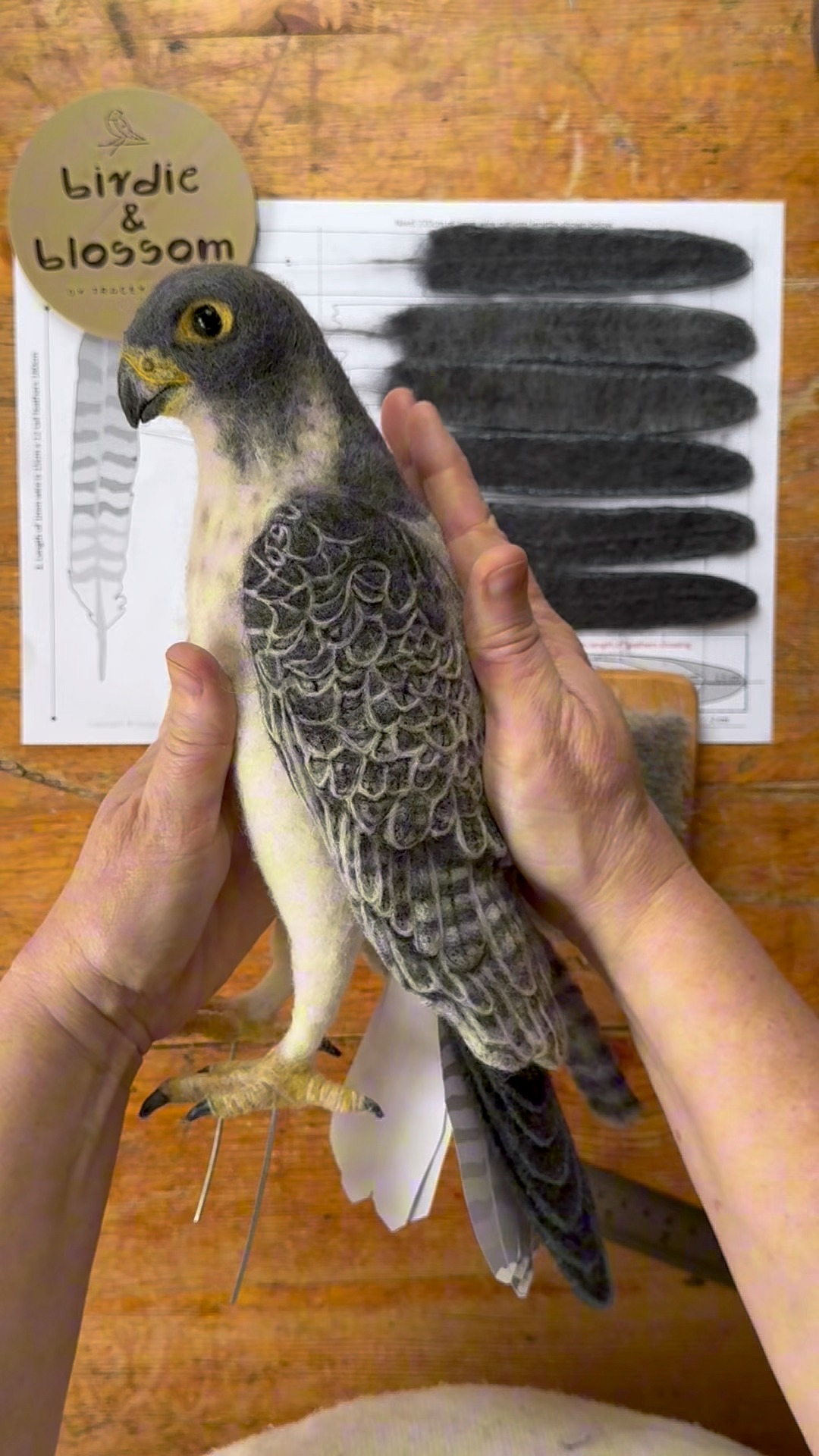 Two days of making peregrine falcon feathers, template designs, testing ...