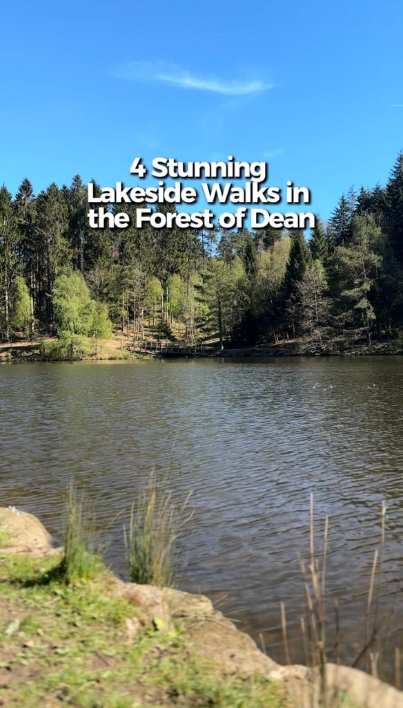 Forest of Dean | Welcome to the Forest of Dean Facebook Group – Your ...