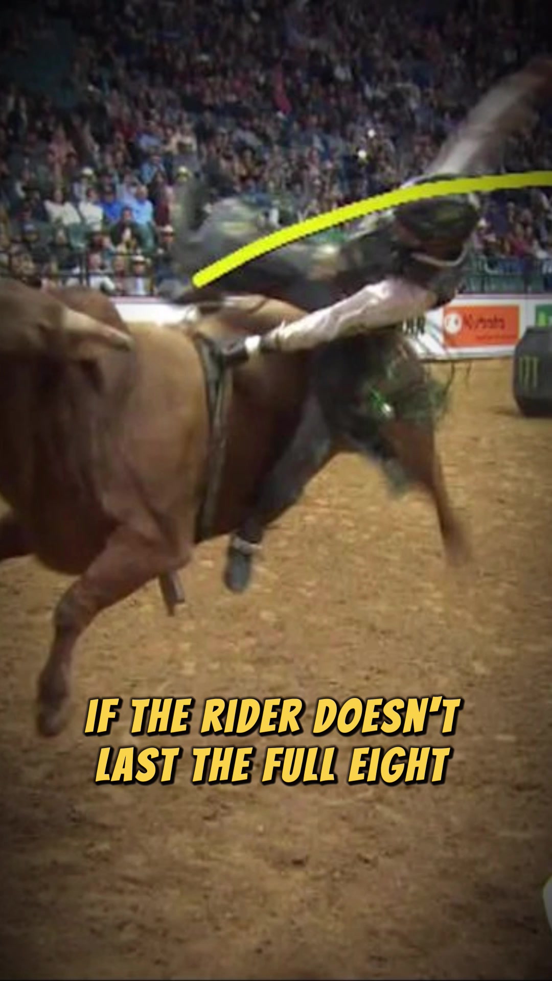 The Scoring System in Bull Riding.... - Household Goods 5 | Facebook