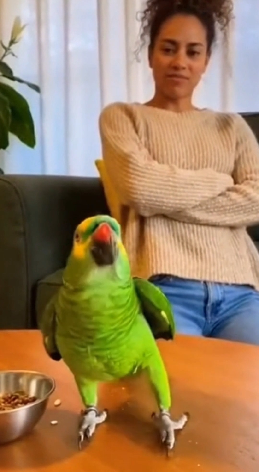 Parrot vs Owner Rent Negotiation GOES WRONG 😂💰 Our favorite talking ...
