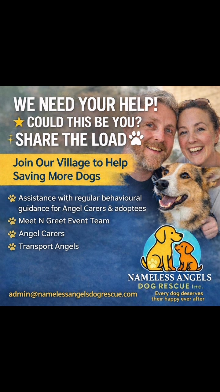 🐾 What a journey these past four months have been… 🐾 To everyone who ...