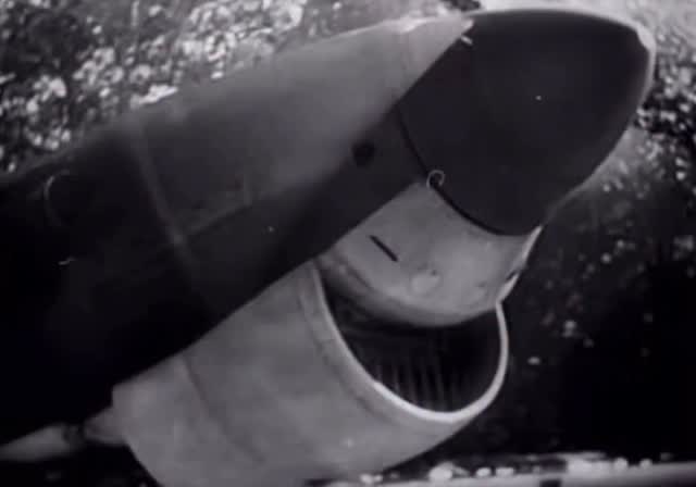STUKA!!! if he survived the war, he probably suffered with long-term ...