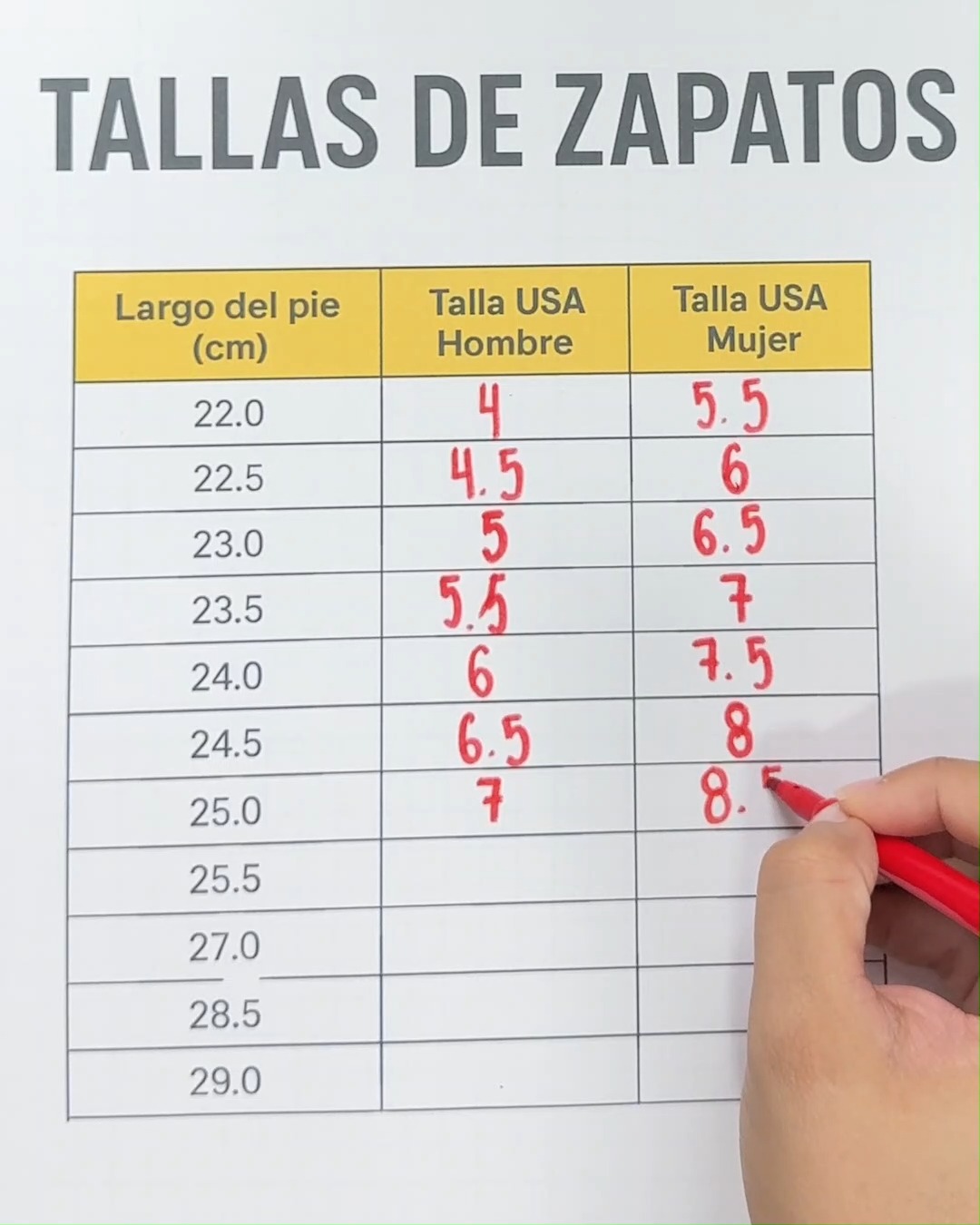 Equivalencia de la tallas de zapatos | Juegos Matemáticos