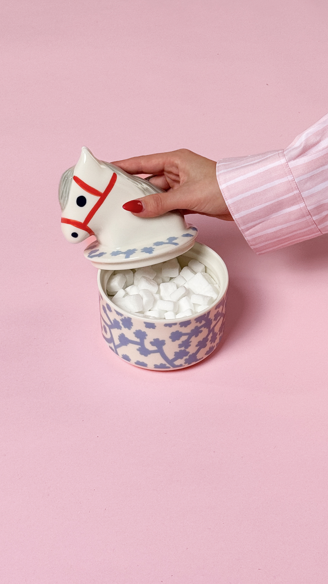 Meet the Lempiheppa jar. She's (not so secretly) our favorite pony
