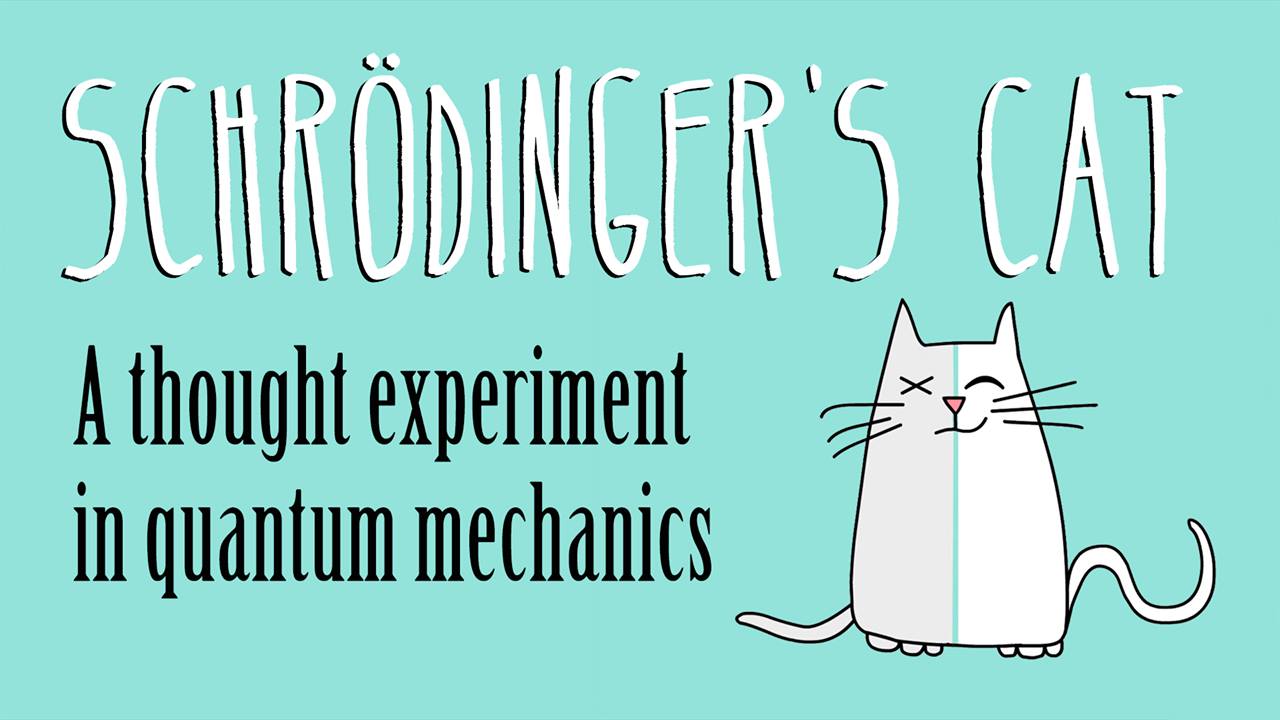 Happy International Cat Day from the coolest cat in quantum physics ...
