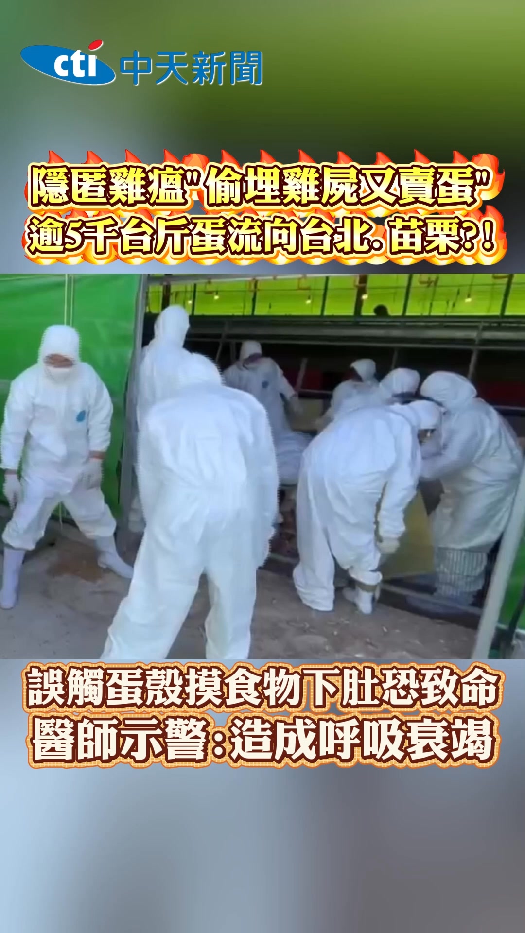 隱匿雞瘟