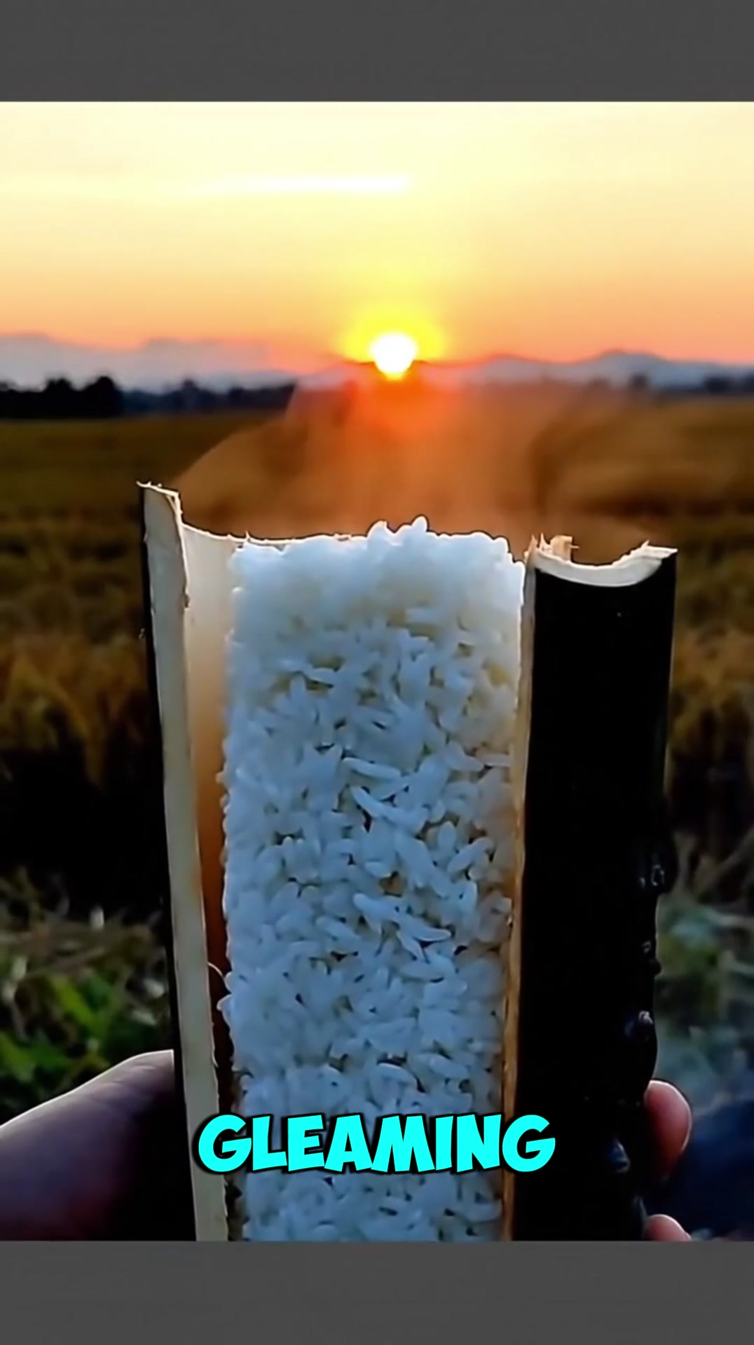 Cooking Rice Inside Bamboo: The Ancient Way 🌾 Witness the golden autumn ...