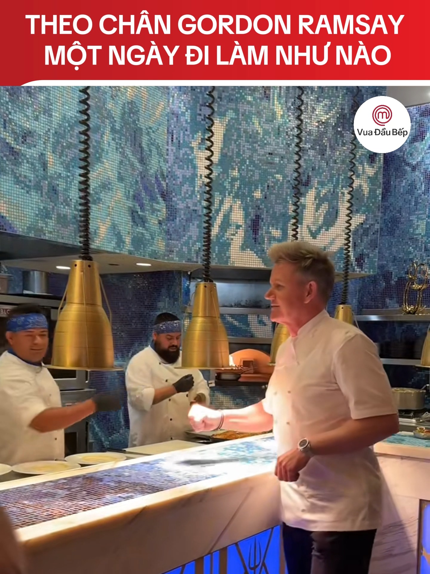 Theo chân Gordon Ramsay một ngày đi làm như thế nào #xt #gordonramsay ...