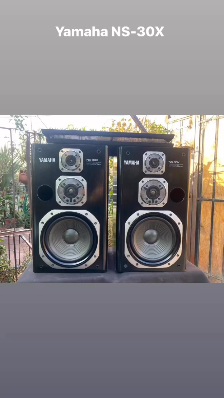 My Yamaha NS-L225. Radial tweeter, 10inch woofer. Alnico drivers.