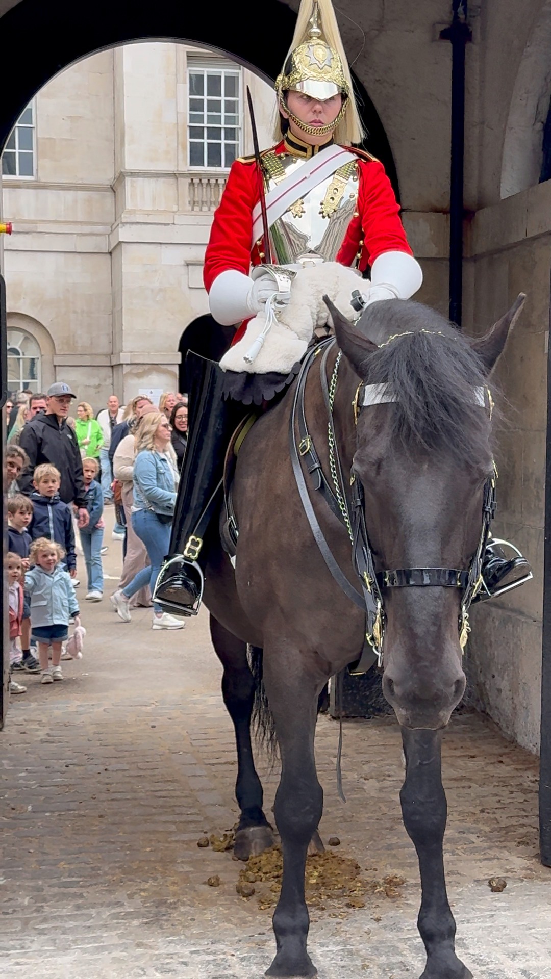 Magnificent!” #kingsGuard #RoyalHorse #London #HorseGuardParade # ...