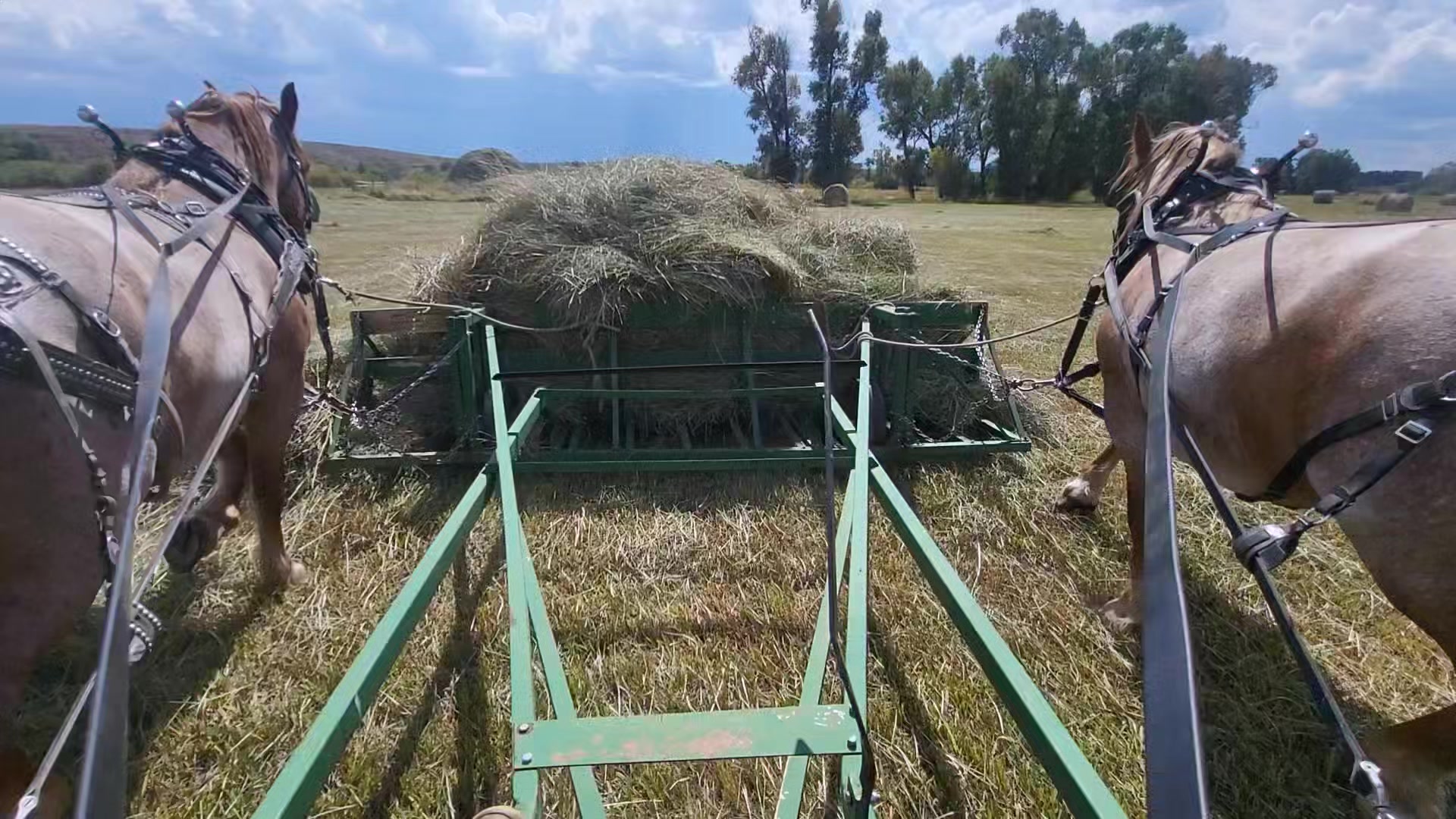 Thomas Poltynski here's a video of the function of the buckrake for you ...