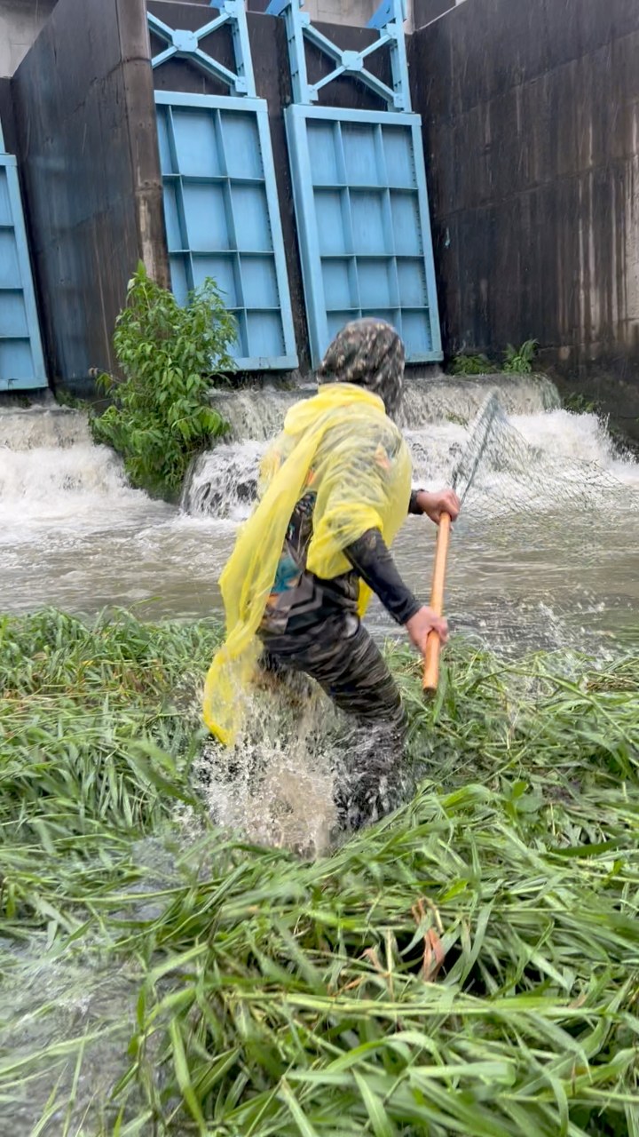 Panipyaw ng kumpolan ng isda sa gitna ng baha | Ran Olivares | Facebook