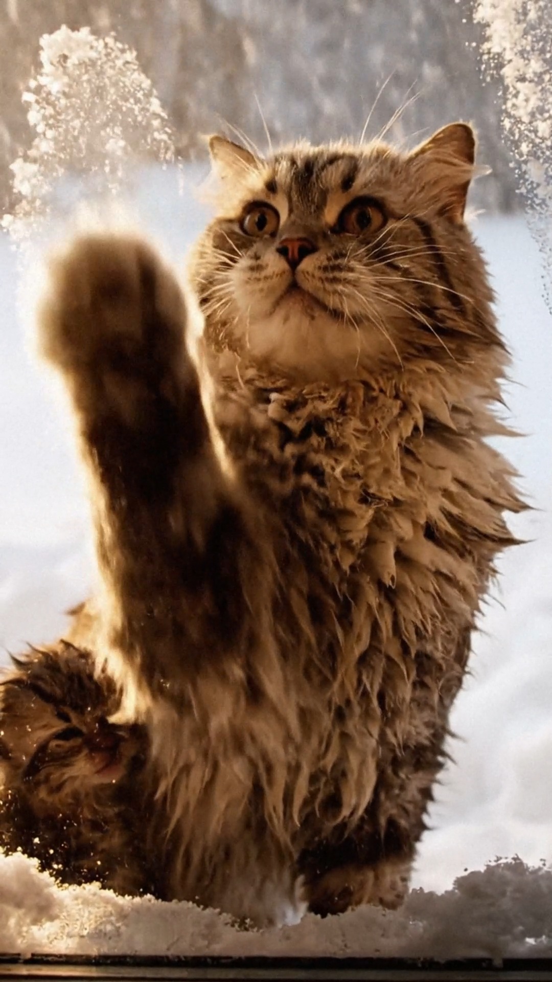 The frost on the window couldn’t hide the love behind the cold. A ...