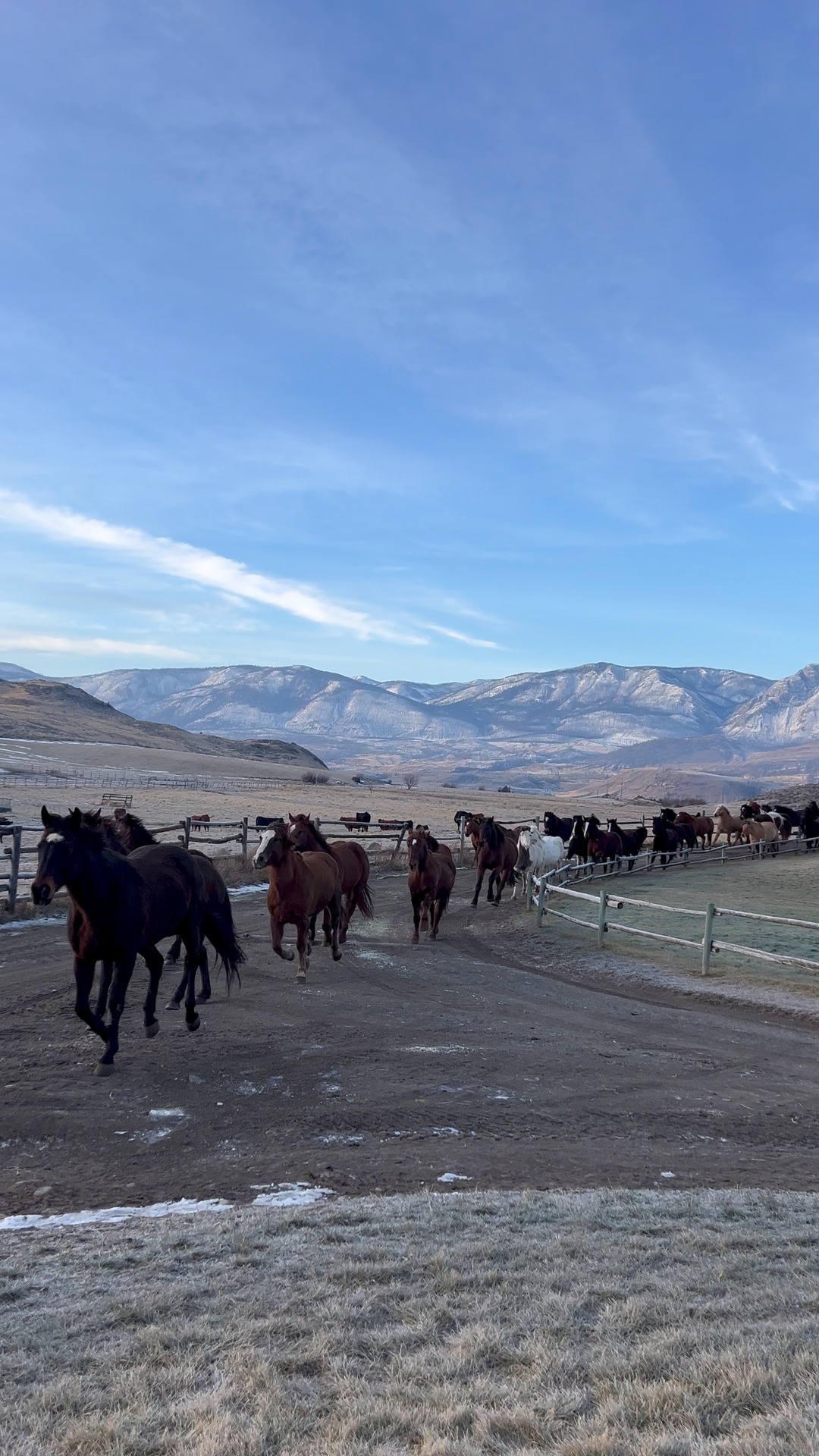 Happy Friday! 😍 | Sundance Guest Ranch | Facebook