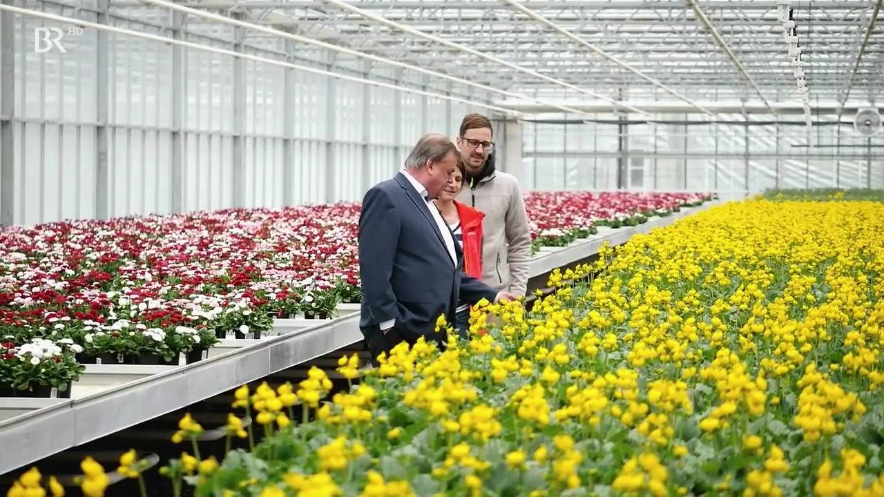 70 Jahre Dehner -, Anlässlich des Jubiläums unseres Partners Dehner war der BR zu Besuch in unserer Gärtnerei in Rain am Lech. #gärtnersiedlung #dehnerwird70 | Dechant Gartenbau