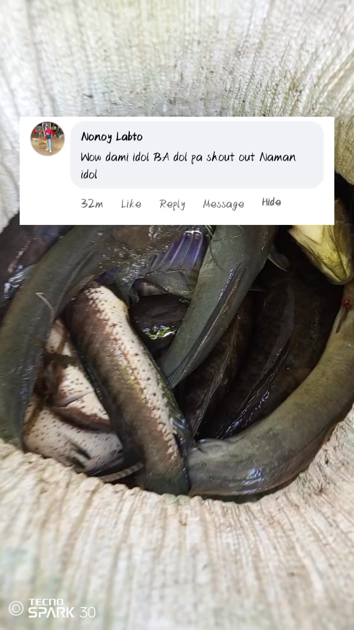 Ang Dami na #trendingreels #viral | ED & LYN fishing | Facebook