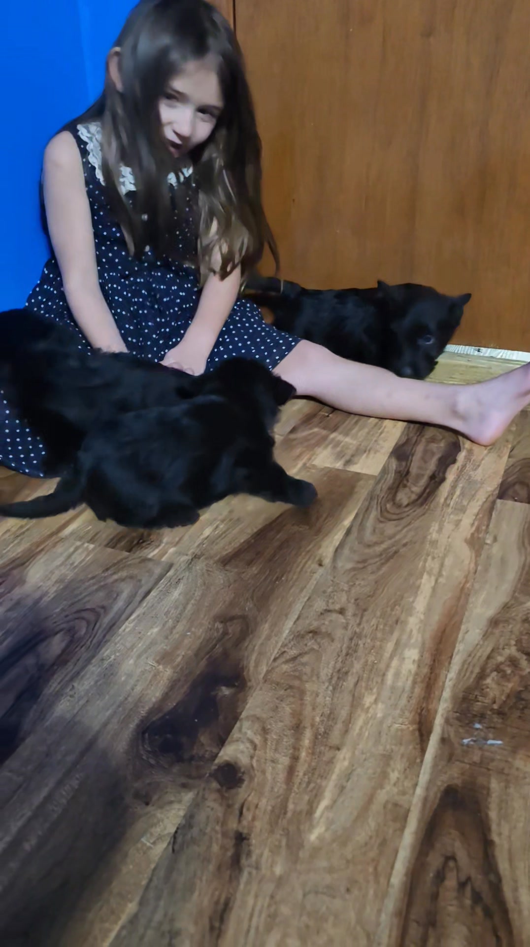 Group 2. Black 🩷 | Harbert Ranch Terriers | Facebook