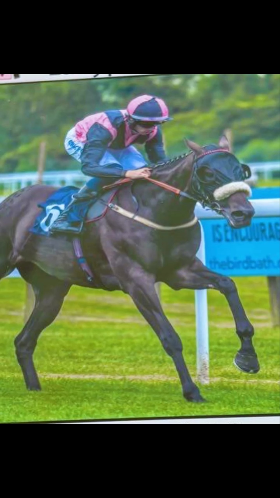 Grace Harris Racing | Chepstow