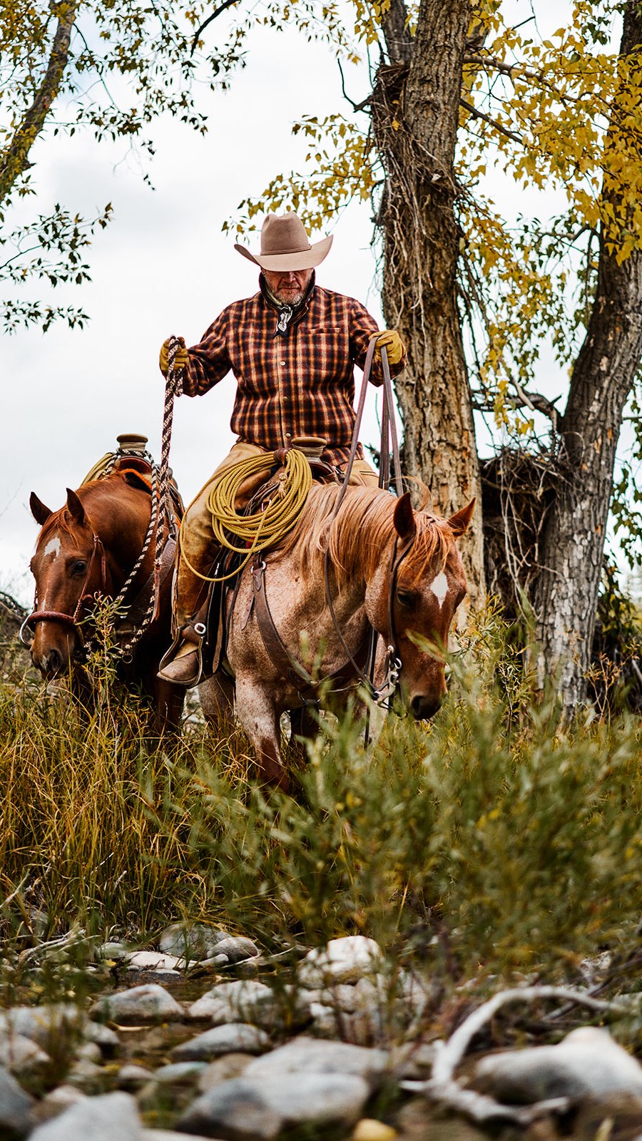Comment “RIDE” and I’ll send you my FREE mini-clinic which walks you ...