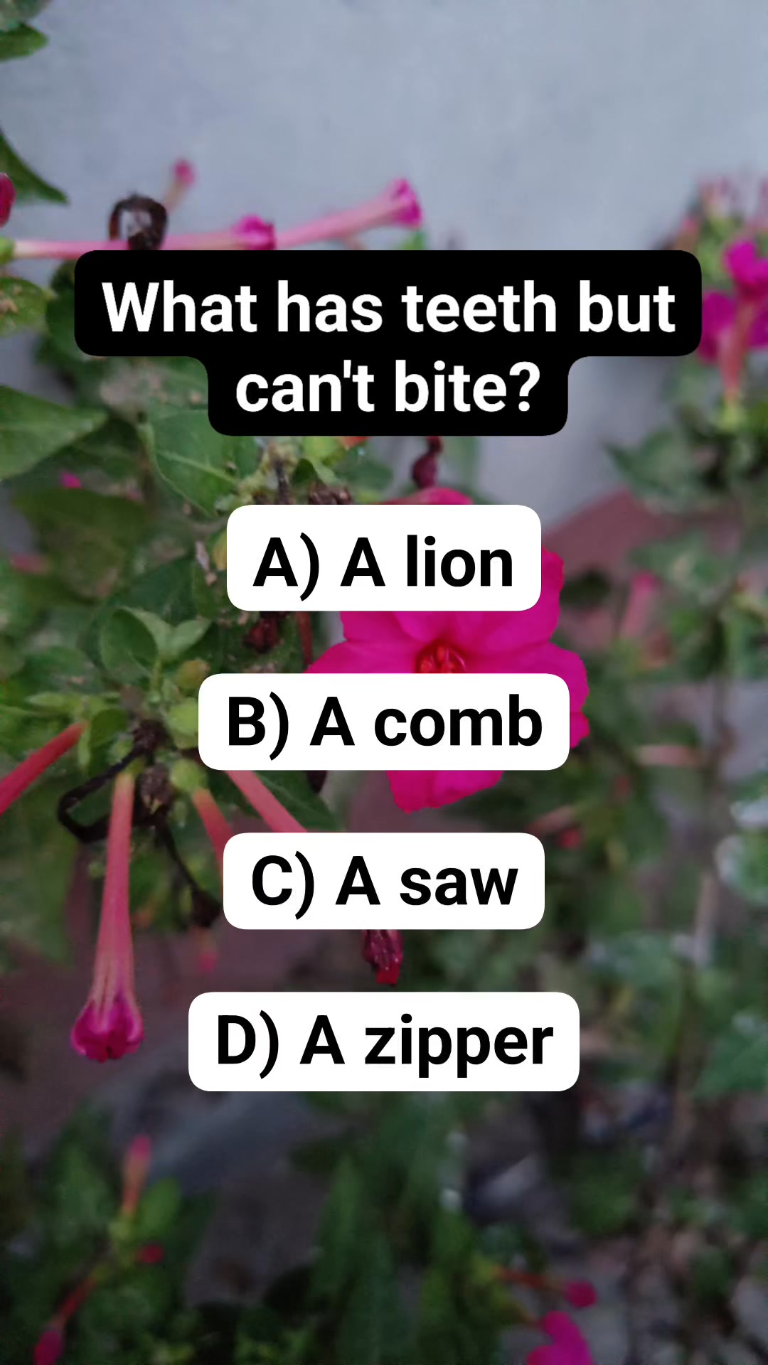 #brainteaser #riddle | English riddle | Facebook