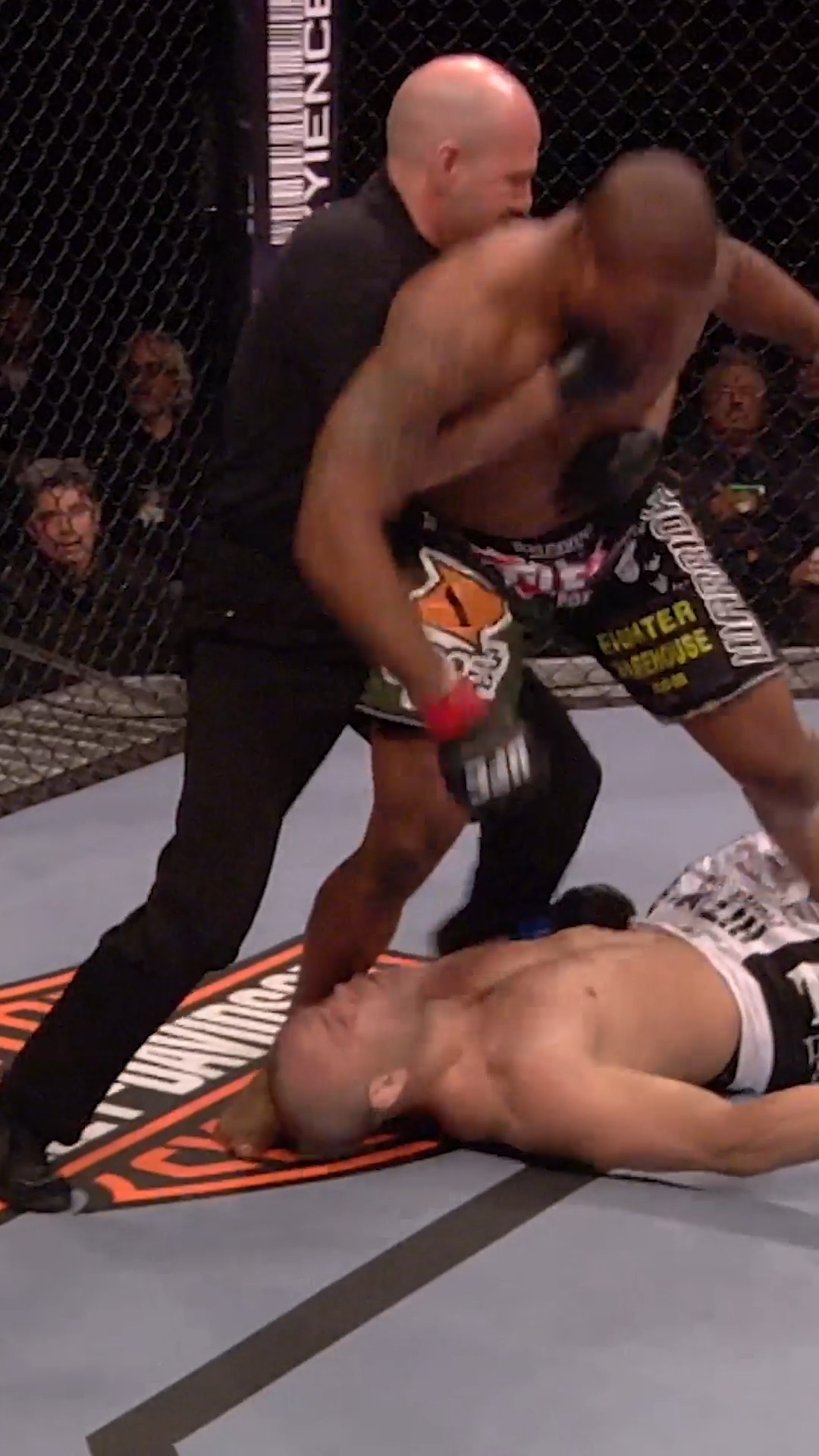 When Wanderlei Silva Did THAT Rampage Jackson In PRIDE! Relive