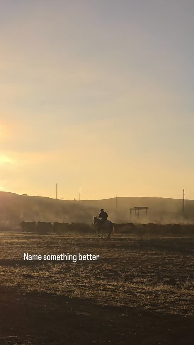 Padlock Ranch Company | Ranchester WY