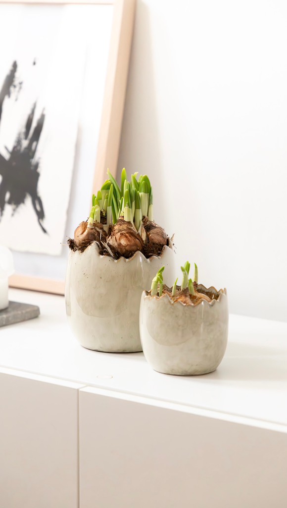Eier mal anders! 🥚🌱 Heute zeigen wir Euch, wie wir unsere zauberhaften Eierschalen-Töpfe bepflanzen und damit frischen Wind in die Osterdeko bringen! ✨Alles, was Ihr dafür benötigt, findet Ihr jetzt